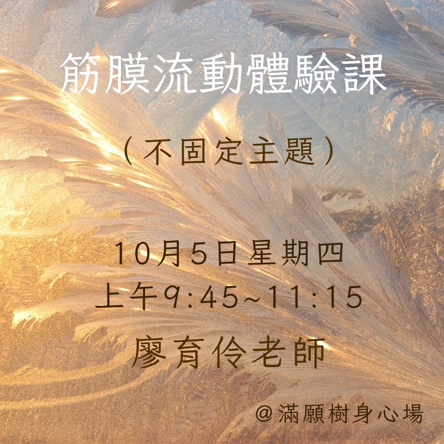 筋膜流動體驗NO.1