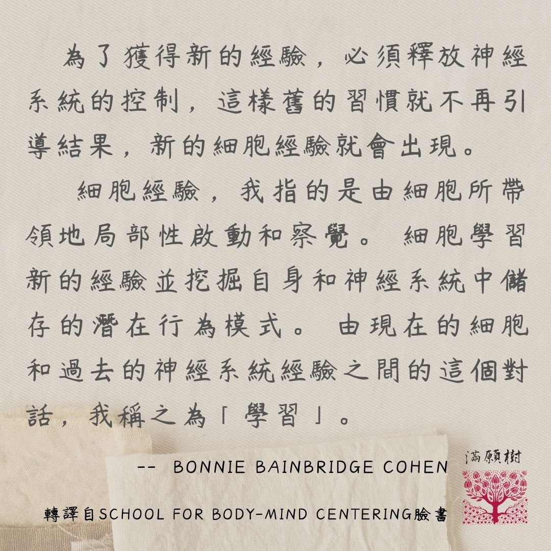 身心小語 5