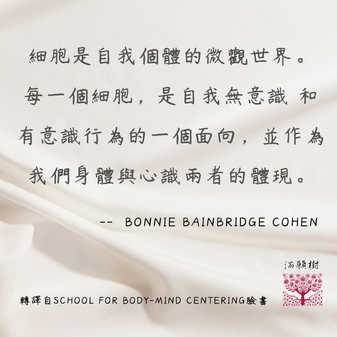 身心小語 11